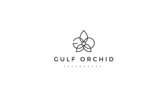 Gulf Orchid